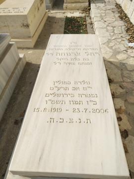 תמונת מצבה