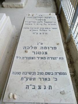 תמונת מצבה