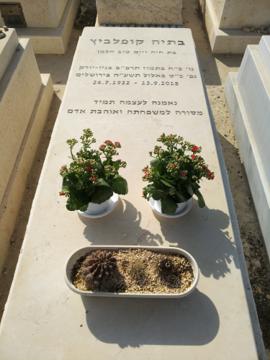 תמונת מצבה
