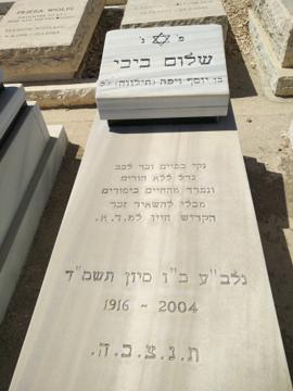 תמונת מצבה
