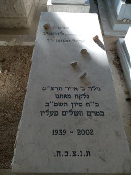 תמונת מצבה