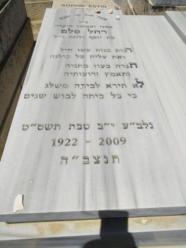 תמונת מצבה