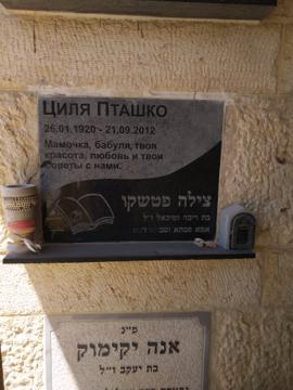 תמונת מצבה