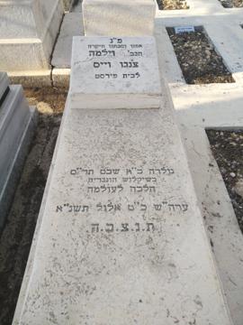 תמונת מצבה