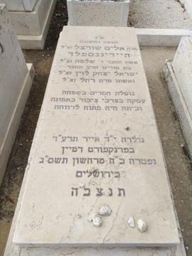 תמונת מצבה