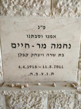 תמונת מצבה