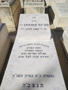 תמונת מצבה