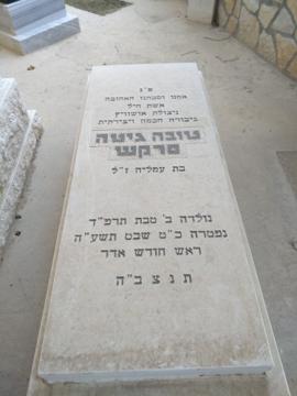 תמונת מצבה