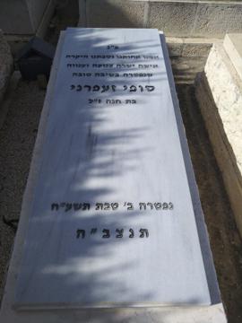 תמונת מצבה