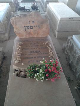 תמונת מצבה