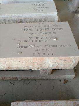 תמונת מצבה