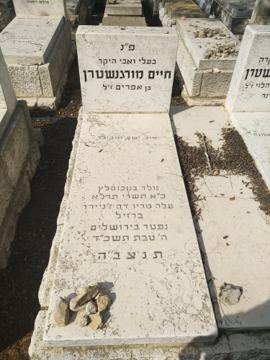 תמונת מצבה