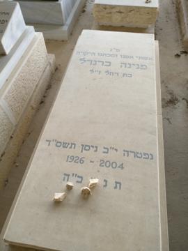 תמונת מצבה
