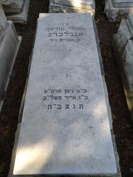 תמונת מצבה