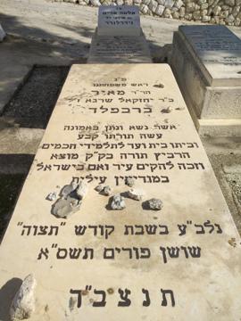 תמונת מצבה