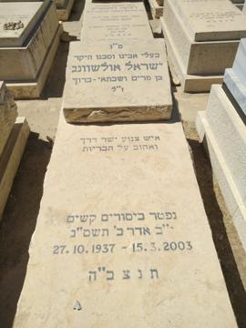 תמונת מצבה