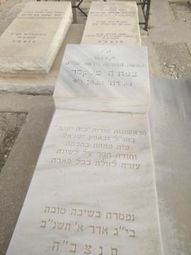 תמונת מצבה