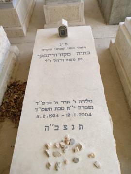 תמונת מצבה