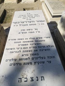 תמונת מצבה
