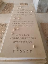 תמונת מצבה