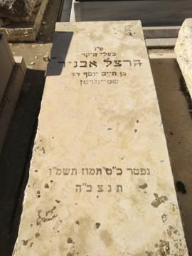 תמונת מצבה