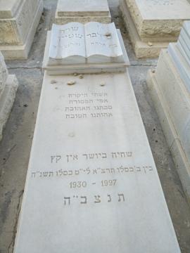 תמונת מצבה