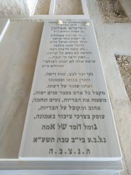 תמונת מצבה