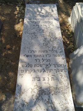 תמונת מצבה