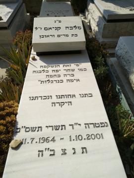 תמונת מצבה