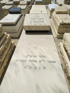 תמונת מצבה