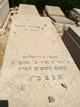 תמונת מצבה