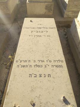 תמונת מצבה