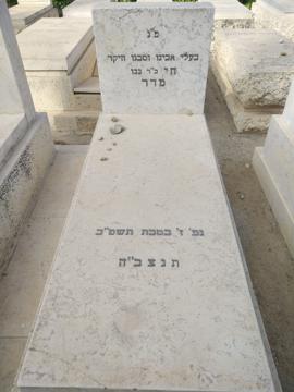 תמונת מצבה