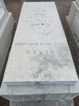 תמונת מצבה