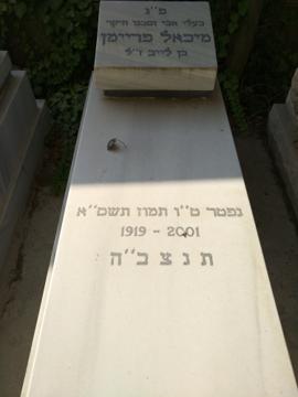 תמונת מצבה
