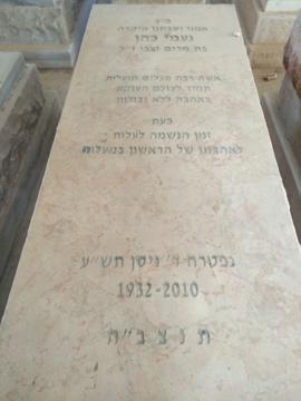תמונת מצבה