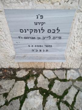 תמונת מצבה