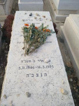 תמונת מצבה