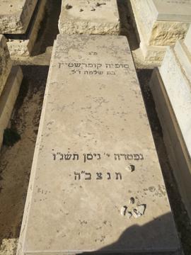 תמונת מצבה