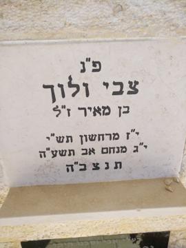 תמונת מצבה