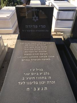 תמונת מצבה