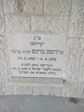תמונת מצבה