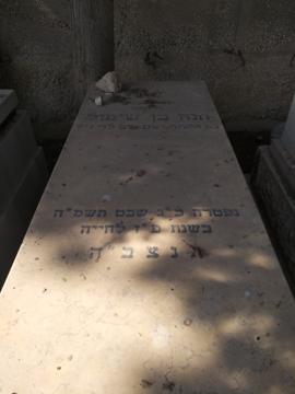 תמונת מצבה