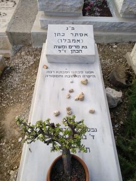 תמונת מצבה