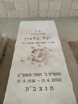 תמונת מצבה