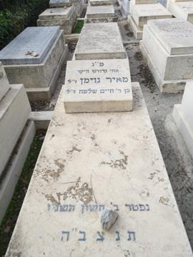 תמונת מצבה