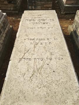 תמונת מצבה