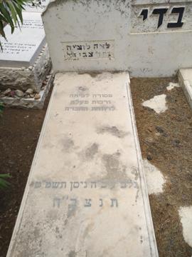 תמונת מצבה