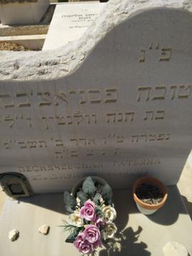 תמונת מצבה