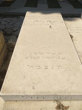 תמונת מצבה